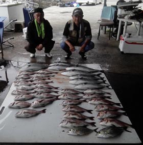 はさま浦釣り堀センター