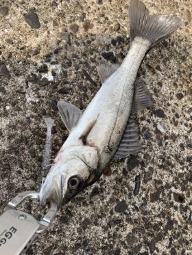 釣り船 松兵衛