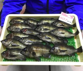 釣人家