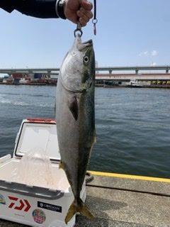 釣り船 松兵衛