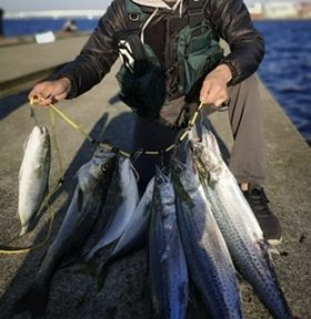 釣り船 松兵衛