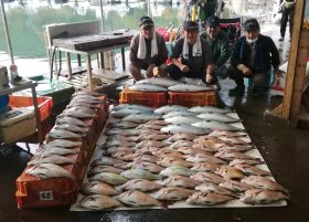 はさま浦釣り堀センター