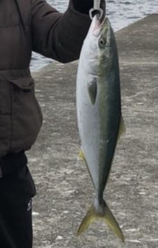 釣り船 松兵衛