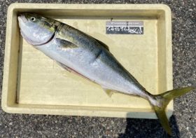 釣り船 松兵衛