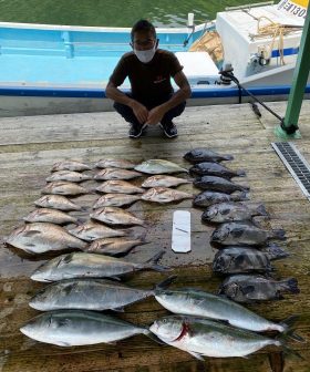 あなたに逢い鯛。釣り堀