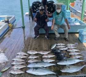 あなたに逢い鯛。釣り堀