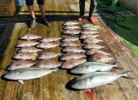 あなたに逢い鯛。釣り堀