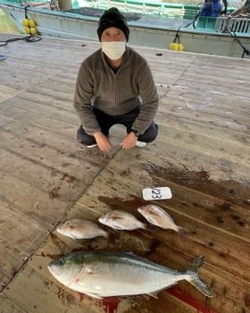 あなたに逢い鯛。釣り堀