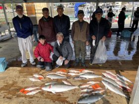 あなたに逢い鯛。釣り堀