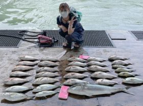 あなたに逢い鯛。釣り堀