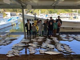 あなたに逢い鯛。釣り堀