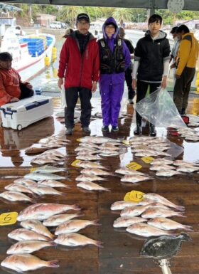 あなたに逢い鯛。釣り堀