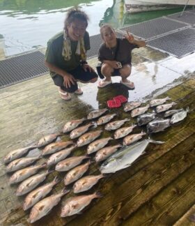 あなたに逢い鯛。釣り堀