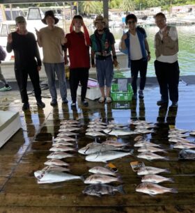 あなたに逢い鯛。釣り堀