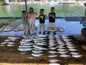 あなたに逢い鯛。釣り堀