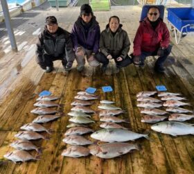 あなたに逢い鯛。釣り堀