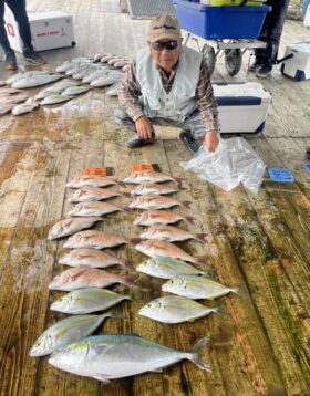 あなたに逢い鯛。釣り堀