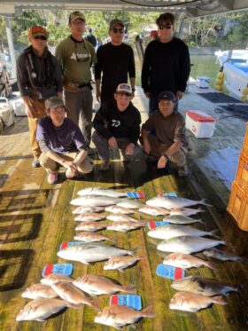 あなたに逢い鯛。釣り堀